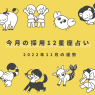 今月の採用12星座占い  2022年11月の運勢